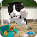 猫咪模拟器无限金币无限钻石版