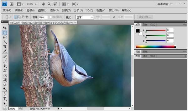 Adobe Photoshop CS4