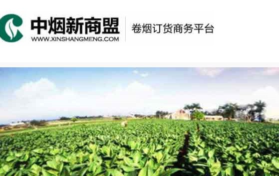 新商盟网上订烟系统